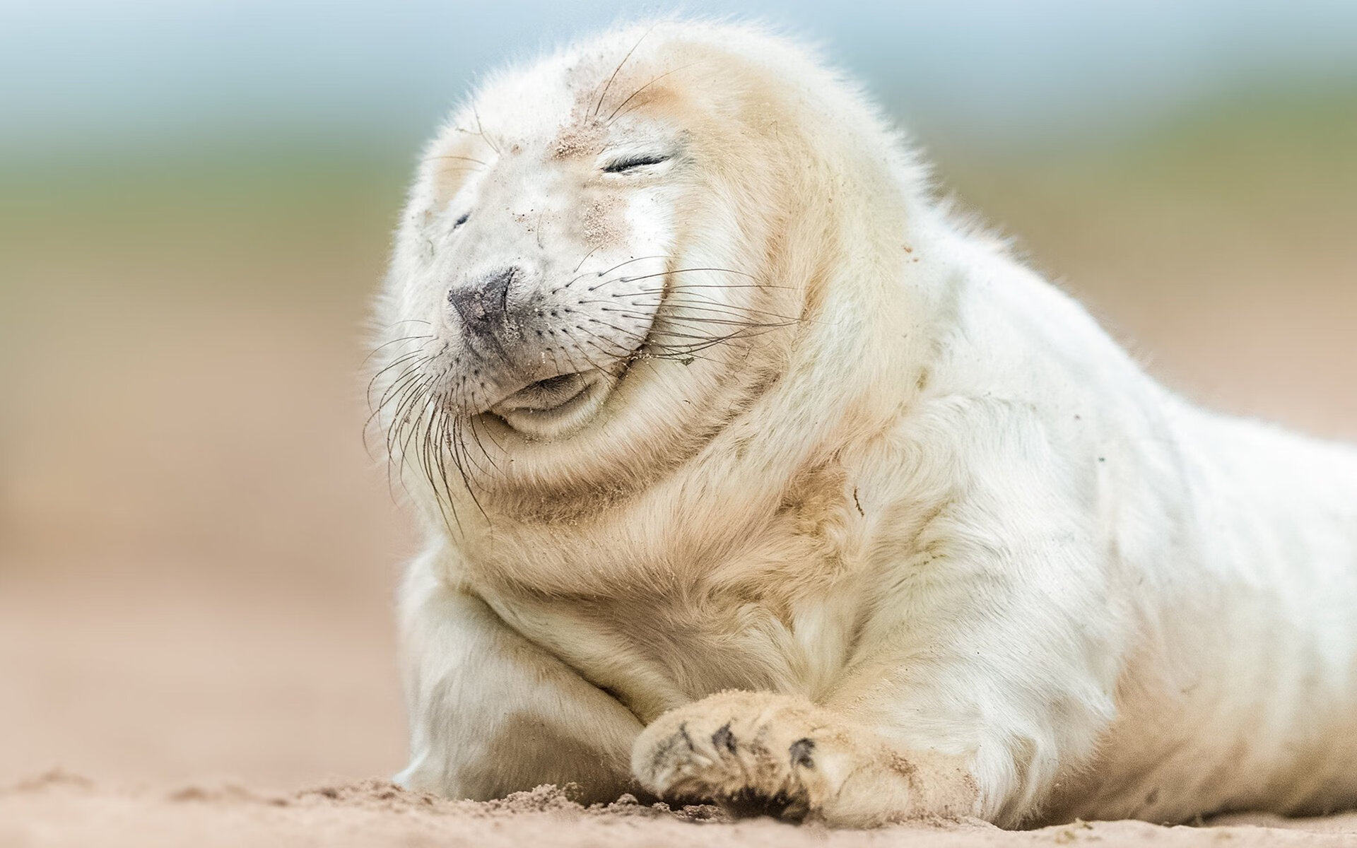 万乐天女子50米仰泳决赛精彩纷呈，万乐天获女子50米仰泳季军