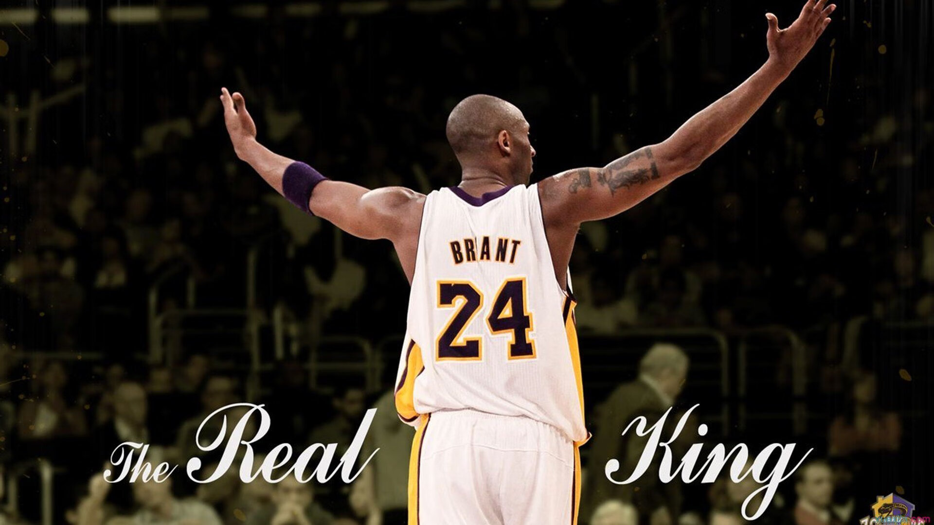 中国男篮的未来属于奋斗者,浅谈中国男篮的现状与未来