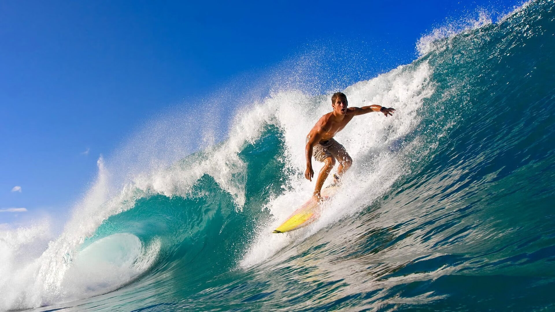 公牛队全员齐心，迎接未来挑战