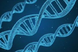 开云官网登录-国足集训营训练模式变化研究报告，国足集训营训练模式变化研究报告总结