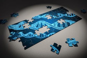 kaiyun-篮球专项技能动作稳定性提升研究，篮球运动技能