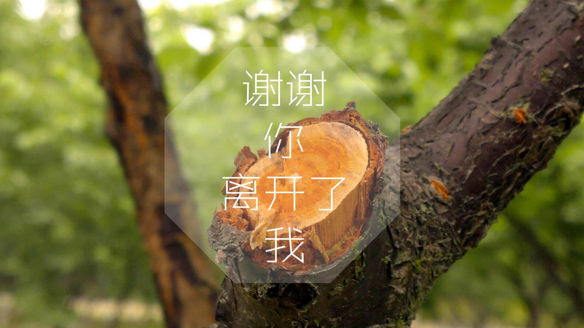 国足防守体系优化研究，国足后防线怎么样