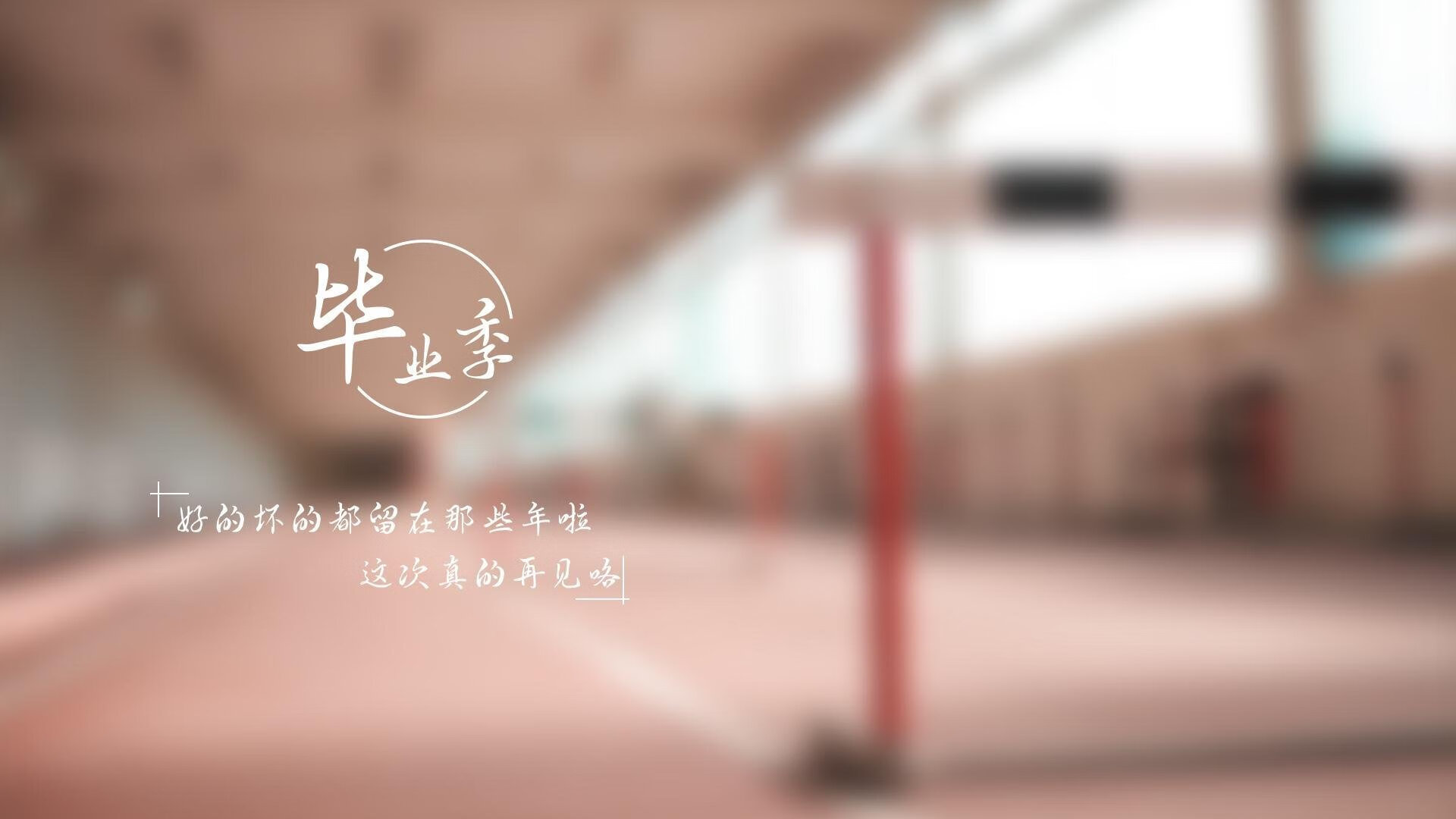 国足阵型调整后胜率变化分析,国足排阵