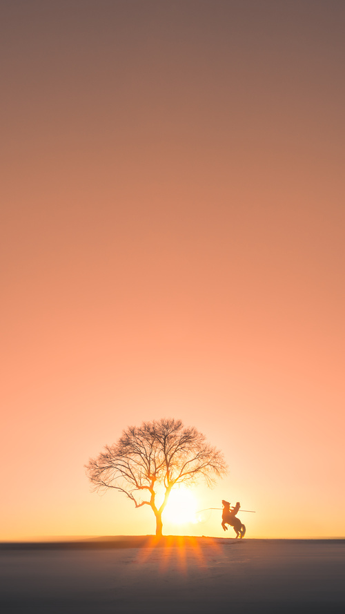 CBA多支球队加强球员体能训练，cba球队增加